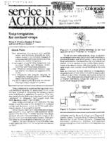 Drip irrigation for orchard crops